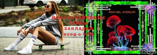 a pvp Каменка