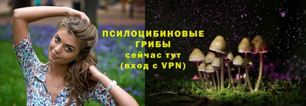 гидра Каменск-Шахтинский