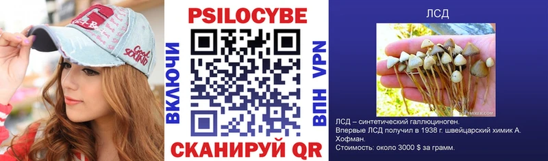 Купить где  Александровск-Сахалинский  Псилоцибиновые грибы Psilocybine cubensis 