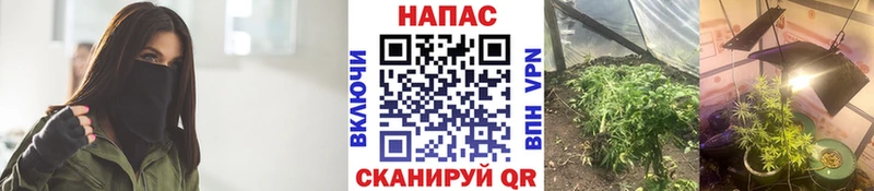 Конопля AK-47  Купить закладки  Александровск-Сахалинский 